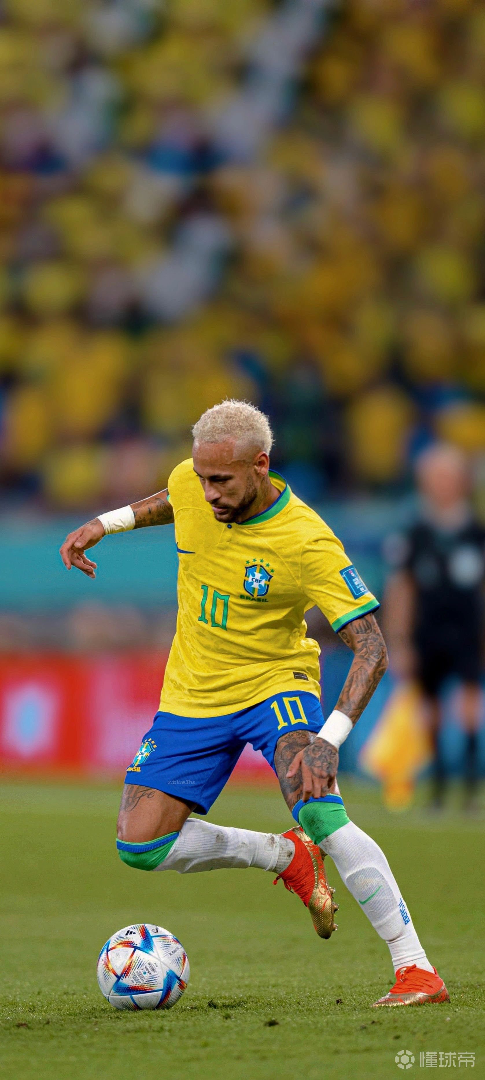 的策略闭环 的策略闭环